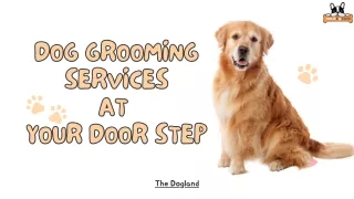 Dog grooming services at your door step- The Dog land