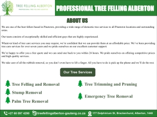 professional tree felling alberton professional