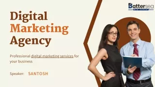 Professional Digital Marketing Agency