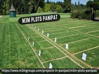 M3M Plots Panipat-Nature-Based Living Is Luxurious