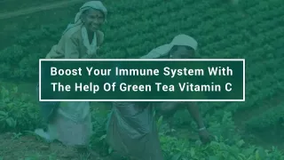 Boost Your Immune System With The Help Of Green Tea Vitamin C
