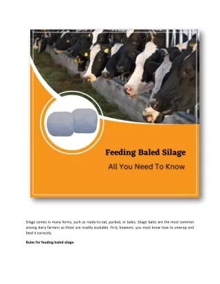 _feeding baled silage all you need to know