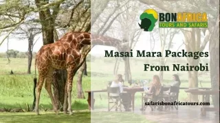 Masai mara packages from Nairobi