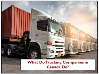 What Do Trucking Companies in Canada Do