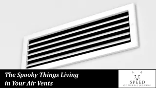 Spooky Things Living in Your Air Vents