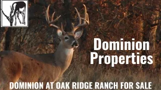 Hill Country Hunting Land | Dominion Hunting Lands