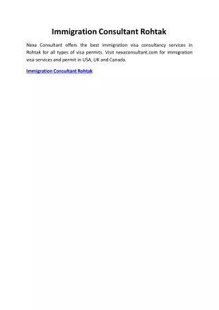 immigration consultant rohtak
