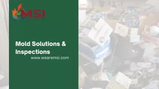 Mold Solutions & Inspections  Wearemsi.com