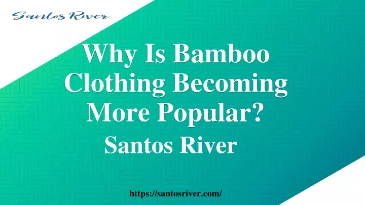 why is bamboo clothing becoming more popular