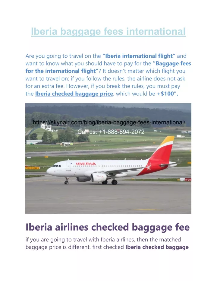 iberia baggage fees international