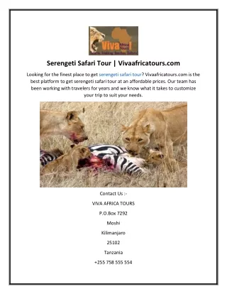 serengeti safari tour vivaafricatours com