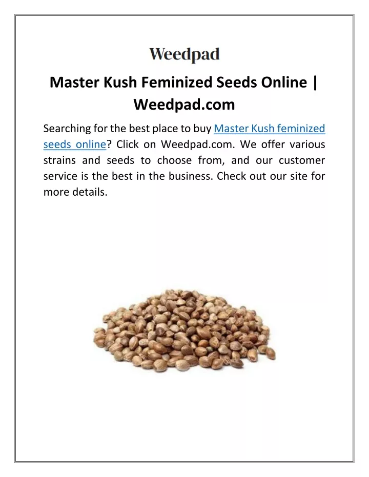 master kush feminized seeds online weedpad com