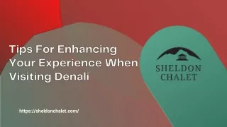 Tips For Enhancing Your Experience When Visiting Denali