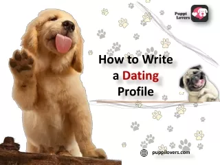 how to write a dating profile