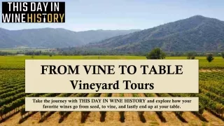 Aglianico Wine History