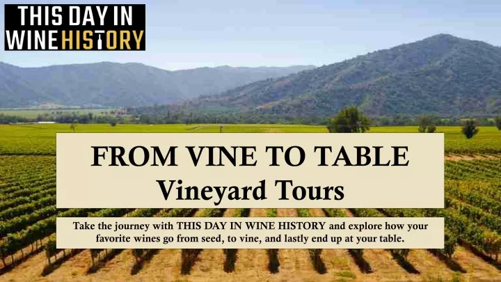 from vine to table vineyard tours
