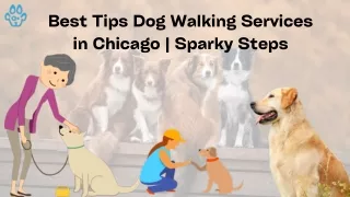 Best Tips Dog Walking Services in Chicago  Sparky Steps