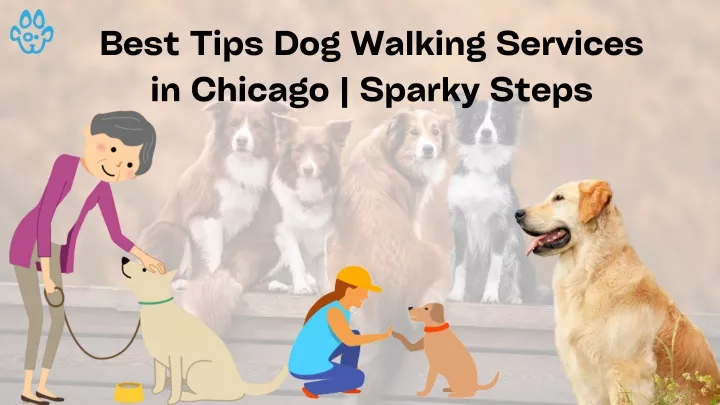 best tips dog walking services in chicago sparky