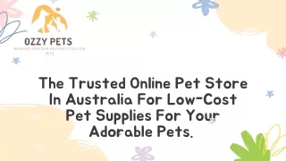 Best Online Pet Store in Surry Hills