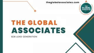 B2B Lead Generation Companies | B2B Lead Generation Services | The Global Associ