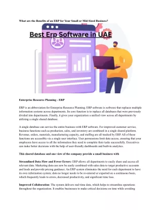 what are the benefits of an erp for your small