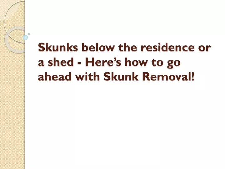 skunks below the residence or a shed here s how to go ahead with skunk removal
