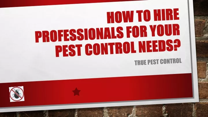 Ppt How To Hire Professionals For Your Pest Control Powerpoint Presentation Id11818816 3736