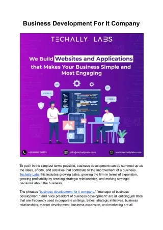 business development for it company