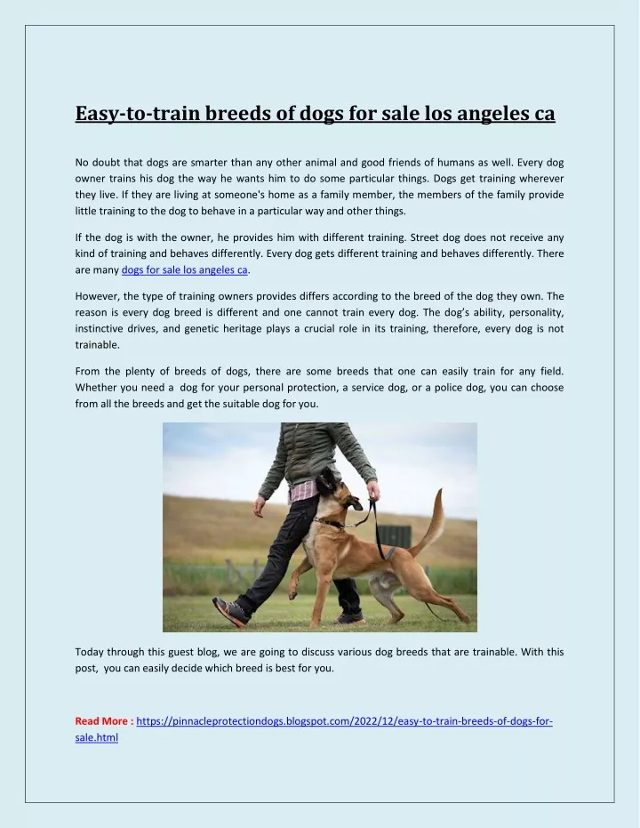 easy to train breeds of dogs for sale los angeles