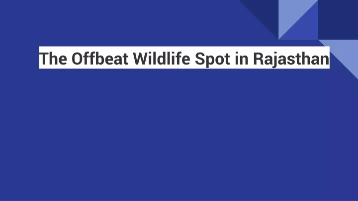 the offbeat wildlife spot in rajasthan