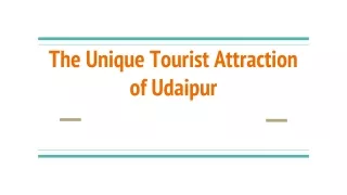 The Unique Tourist Attraction of Udaipur