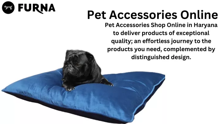 pet accessories online