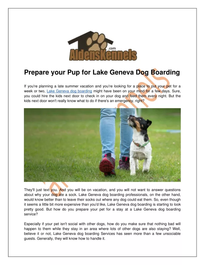 prepare your pup for lake geneva dog boarding