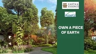 EARTH & ESSENCE (1)