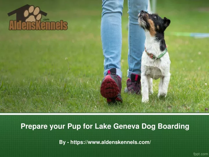 prepare your pup for lake geneva dog boarding