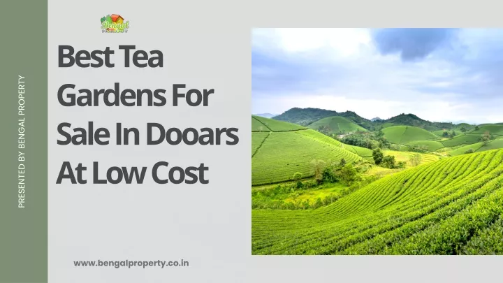 best tea gardens for sale in dooars at low cost