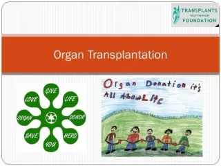 Organ Transplant | Transplant India |    Organ and tissues transplantation