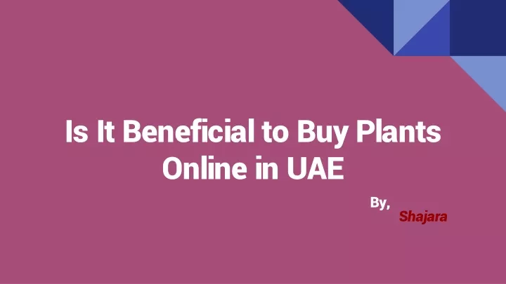 is it beneficial to buy plants online in uae