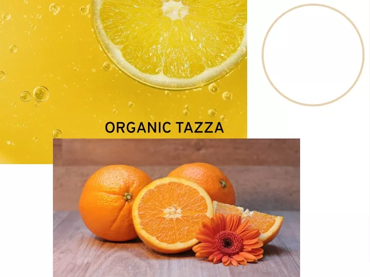 organic tazza