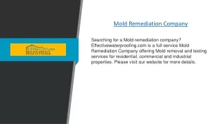 Mold Remediation Company | Effectivewaterproofing.com