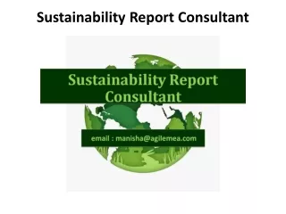 sustainability report consultant