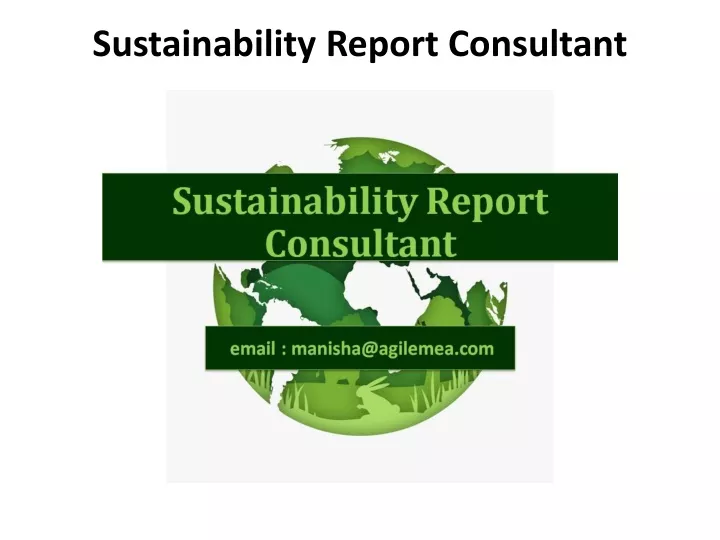 sustainability report consultant