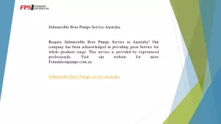 Submersible Bore Pumps Service Australia   Foundationpumps.com.au