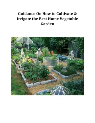 Guidance On How to Cultivate & Irrigate the Best Home Vegetable Garden