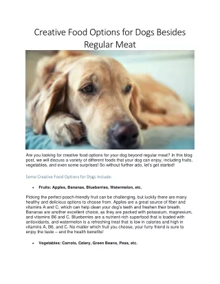 Creative Food Options for Dogs Besides Regular Meat