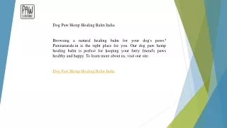 Dog Paw Hemp Healing Balm India  Pawnaturale.in