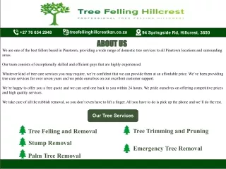 treefellinghillcrestkzn co za