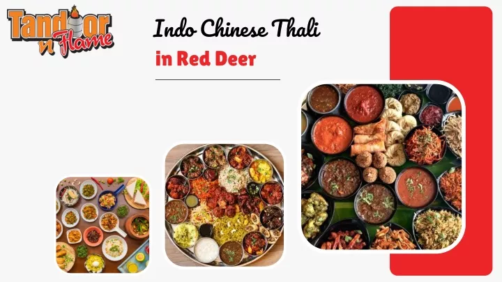 indo chinese thali in red deer