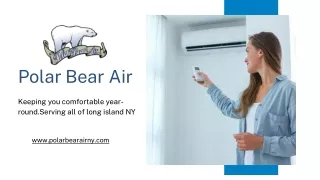 Polar Bear Air and its Services