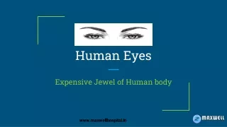 Importance of Human Eyes